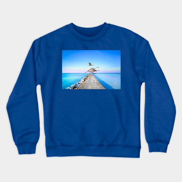 Sandhill Cranes Migrating Inland Crewneck Sweatshirt by lauradyoung